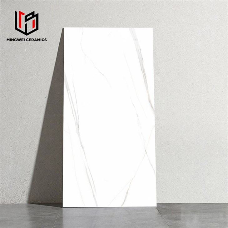 Panda White Gloss Ceramic Tile Factory